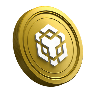 BNB coin from Binance displayed on a guide page for new traders